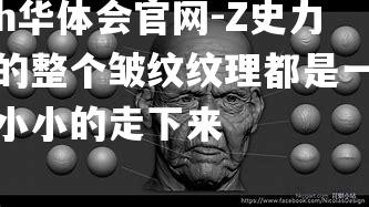 hth华体会官网-Z史力加的整个皱纹纹理都是一个个小小的走下来